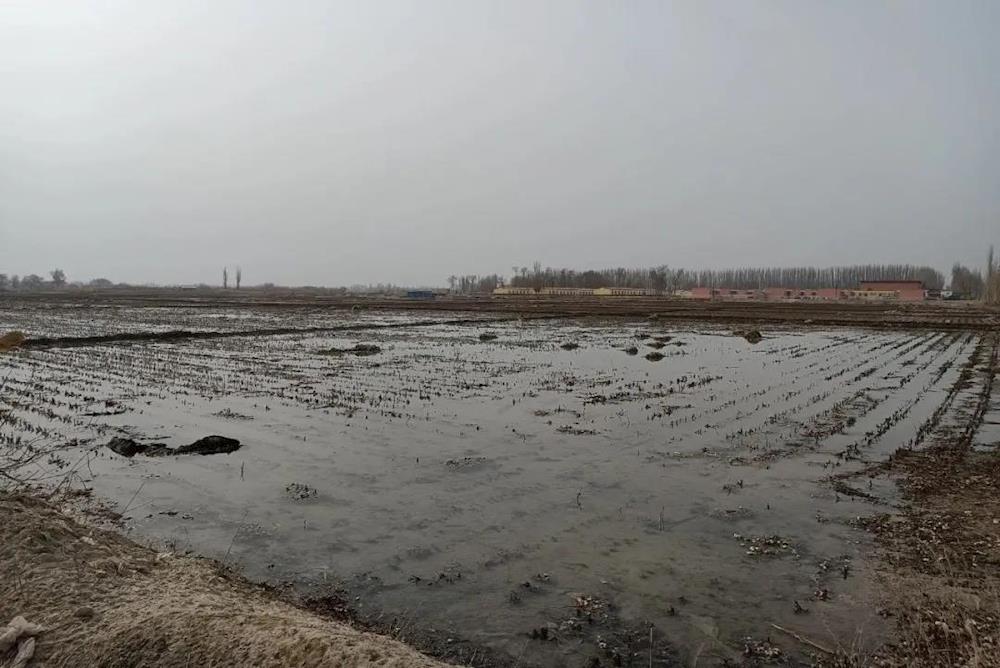 ba8922a73e5541b69141a4ab02736ea0.jpg ba8922a73e5541b69141a4ab02736ea0.jpg