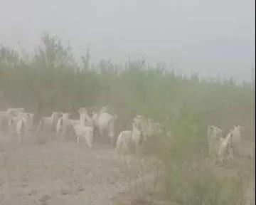 f9f9a2e13342466287b73e68a297cb6a.jpg f9f9a2e13342466287b73e68a297cb6a.jpg