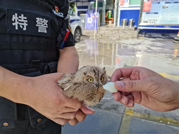 aa3cf233d4ff41c599e533467d58e50e.jpg aa3cf233d4ff41c599e533467d58e50e.jpg