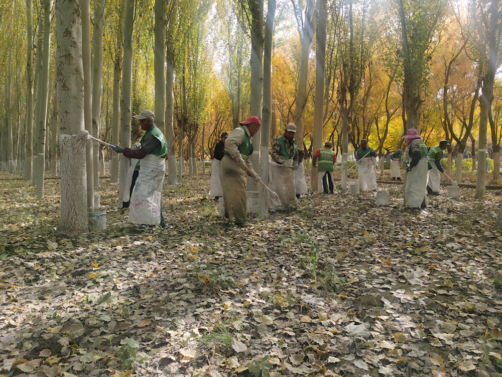 dd64357937544cb0850a419fd38b02e8.png dd64357937544cb0850a419fd38b02e8.png