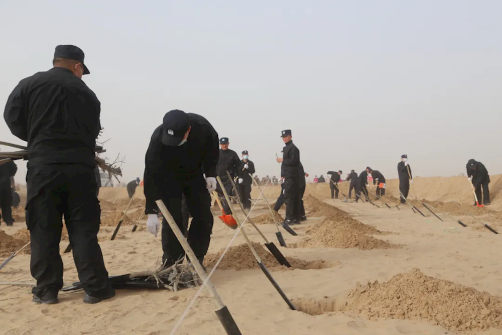 0644358c0d45467e91f3fdd3cfedc3d7.png 0644358c0d45467e91f3fdd3cfedc3d7.png