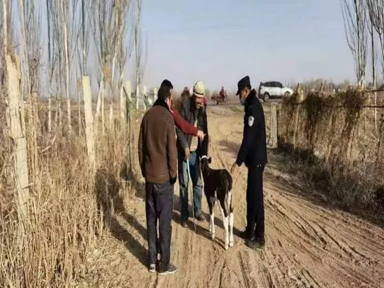 2882a1c02dc849f1a8b6844bca7ea9ff.png 2882a1c02dc849f1a8b6844bca7ea9ff.png