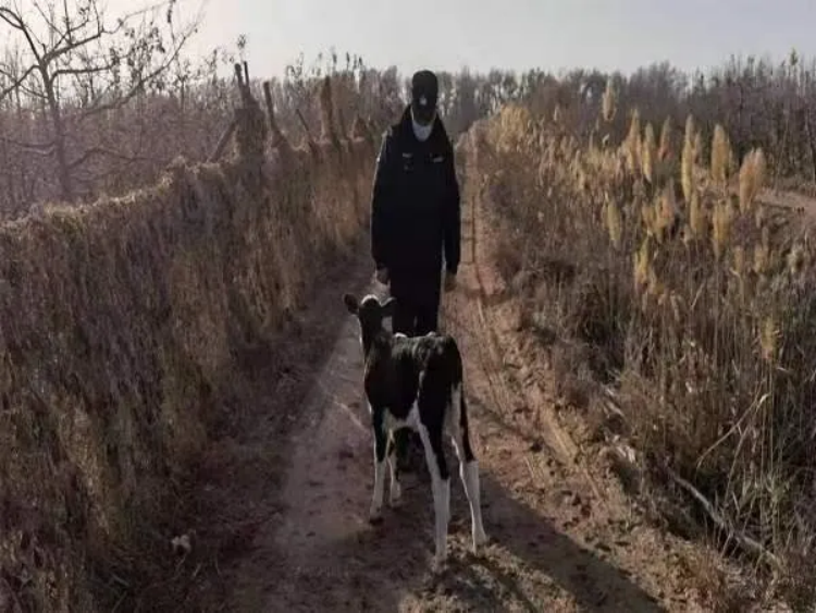 ed57c1c28dc94cafa6c089db0f1b20d4.png ed57c1c28dc94cafa6c089db0f1b20d4.png