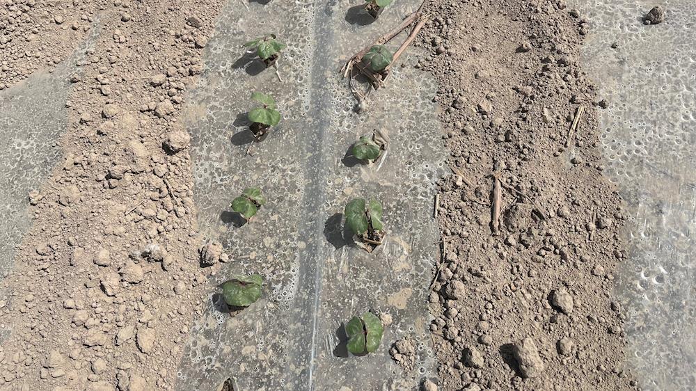 1dd1de0dcf364b9f8ebe485a91a8c3b0.jpeg 1dd1de0dcf364b9f8ebe485a91a8c3b0.jpeg