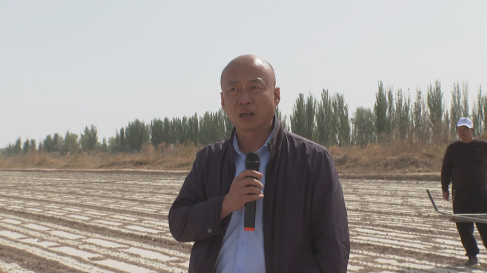 381225e628234dc78e2cba05b946af1d.bmp 381225e628234dc78e2cba05b946af1d.bmp