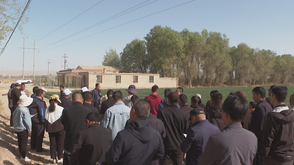 66f264e3fe0f4465bf0ddffcac4f3d8a.bmp 66f264e3fe0f4465bf0ddffcac4f3d8a.bmp