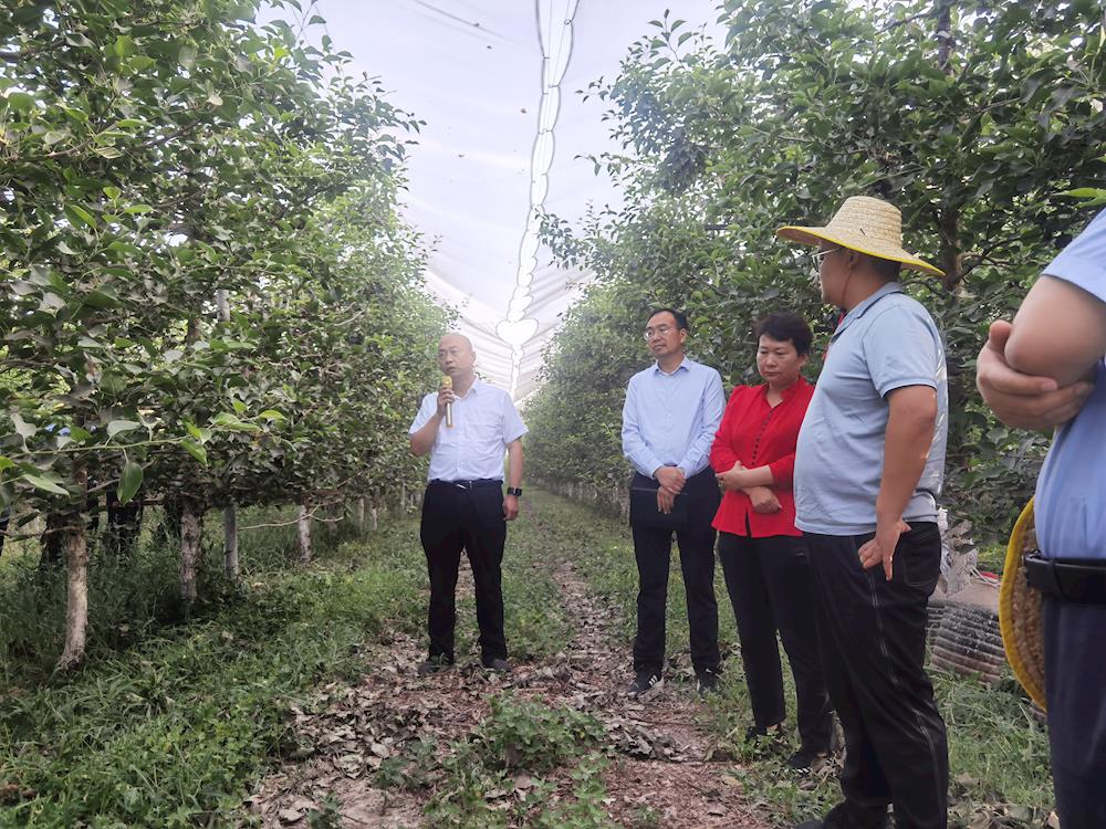 cd5d9b0a420a474ab130f07f907d0cb5.jpg cd5d9b0a420a474ab130f07f907d0cb5.jpg