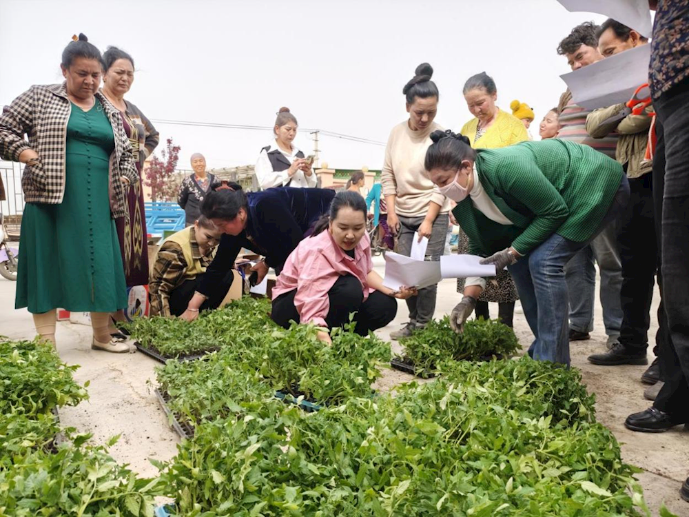 fa8b5e37ed284d72b62d12cb661b9a47.png fa8b5e37ed284d72b62d12cb661b9a47.png