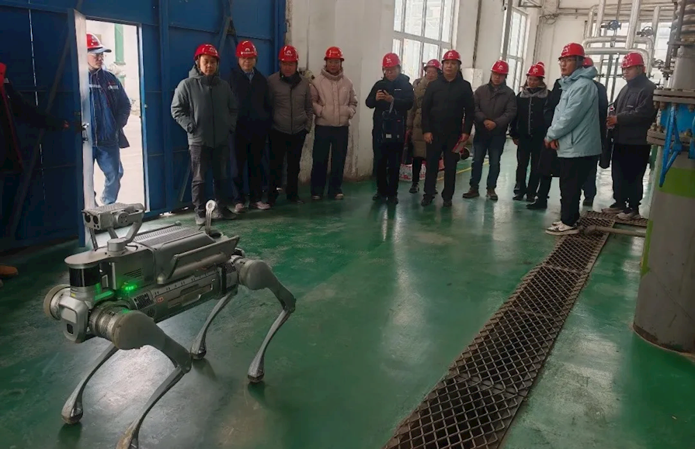 1ab22464bf384c8aa77f779a29ac6ddf.png 1ab22464bf384c8aa77f779a29ac6ddf.png