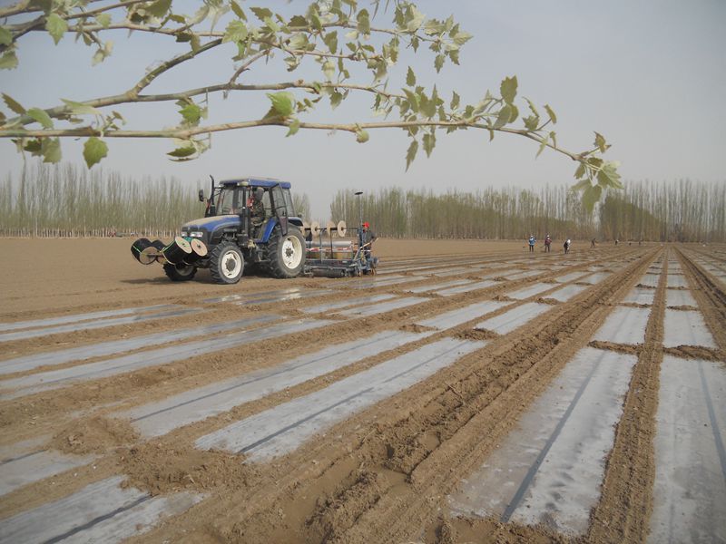 51350e3344534619bd228cd684ddd8a1.jpg 51350e3344534619bd228cd684ddd8a1.jpg