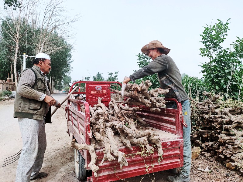 5ca42ac4a89749519dbd5c748d273321.jpg 5ca42ac4a89749519dbd5c748d273321.jpg