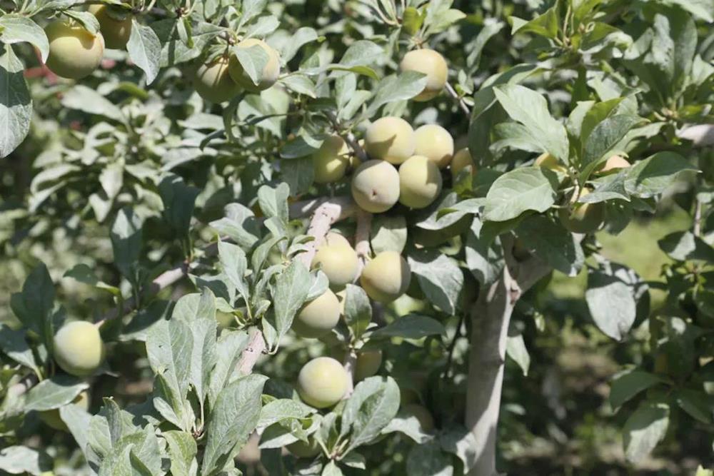 376c6b938b8a4a6c8edf035b9bd98b36.jpg 376c6b938b8a4a6c8edf035b9bd98b36.jpg