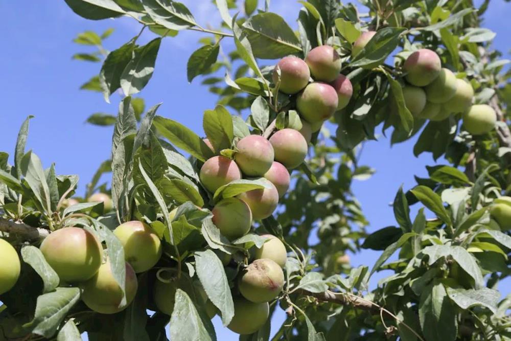 c13374f7f0e94c1fb674aff808d2b62e.jpg c13374f7f0e94c1fb674aff808d2b62e.jpg