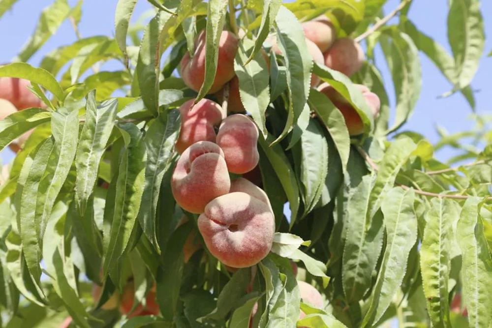 def3cc6c77244a77ba35f6906989709b.jpg def3cc6c77244a77ba35f6906989709b.jpg