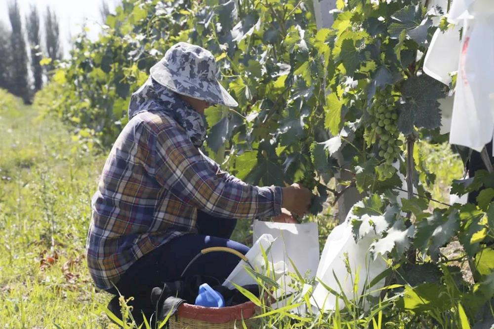 e2ac3bff4b61466b85479caaa24af480.jpg e2ac3bff4b61466b85479caaa24af480.jpg