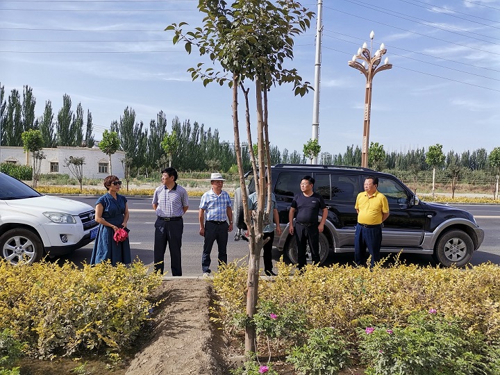 兵團風景園林學會專家組現場檢查軍墾大道延伸段道路建設項目
