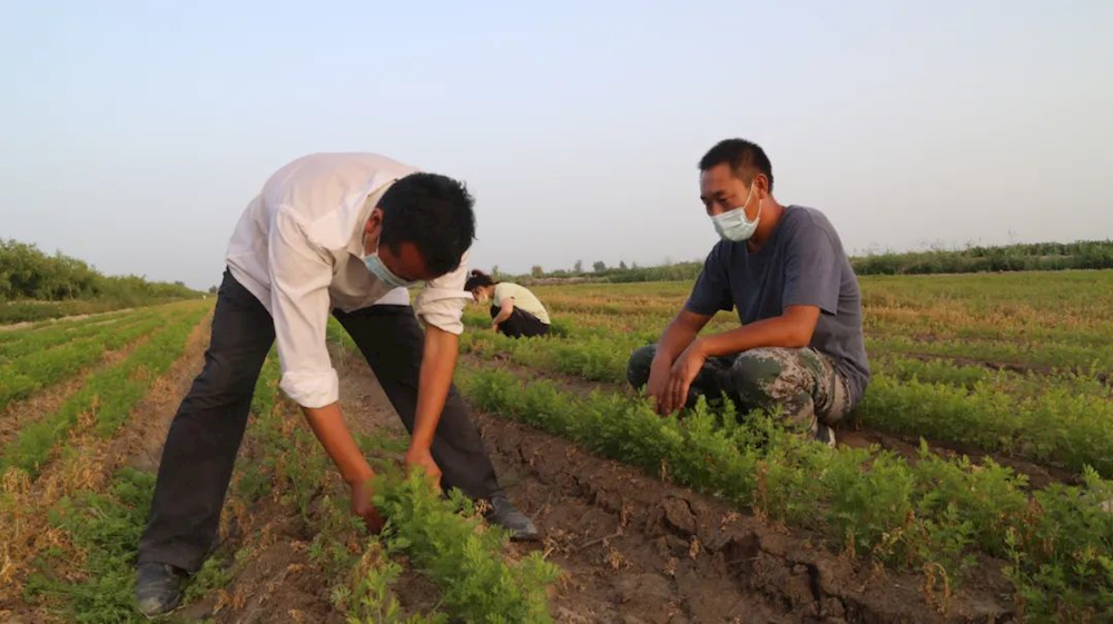 6110d80b13e94cada6e8f7a75e6e7161.png 6110d80b13e94cada6e8f7a75e6e7161.png