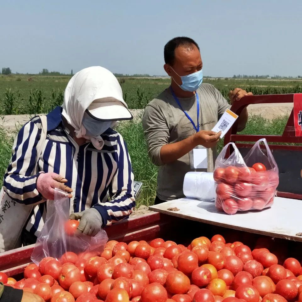 8cdaf2184aad461d98ec66365acf9f02.png 8cdaf2184aad461d98ec66365acf9f02.png