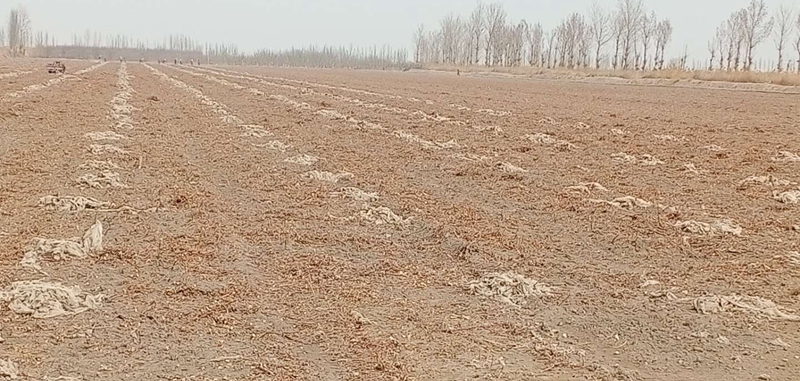 b835f2e541844e7bbbac2b9e59a6ade7.jpg b835f2e541844e7bbbac2b9e59a6ade7.jpg