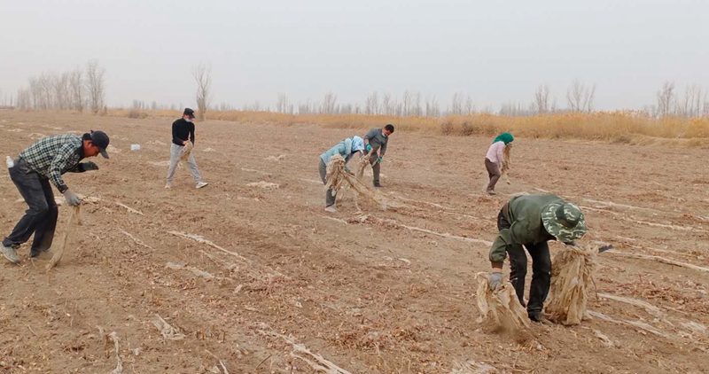 d6af8d0a92844a82a6c0edb5a56981bf.jpg d6af8d0a92844a82a6c0edb5a56981bf.jpg