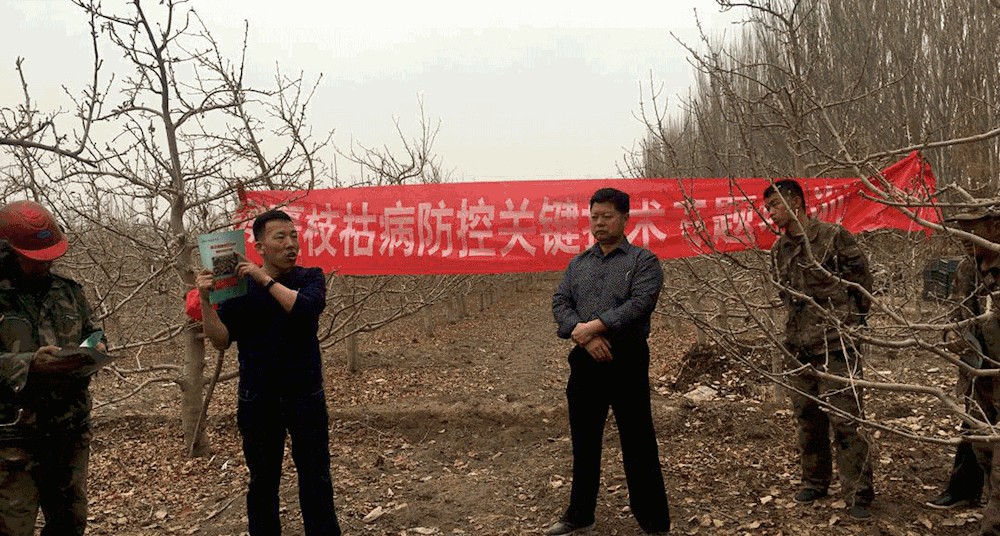 9a6ebb8a81b546f0bbaa4683e76cd5b8.gif 9a6ebb8a81b546f0bbaa4683e76cd5b8.gif