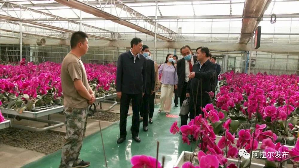 ba11eabad453496698168b815973a3fb.jpg ba11eabad453496698168b815973a3fb.jpg