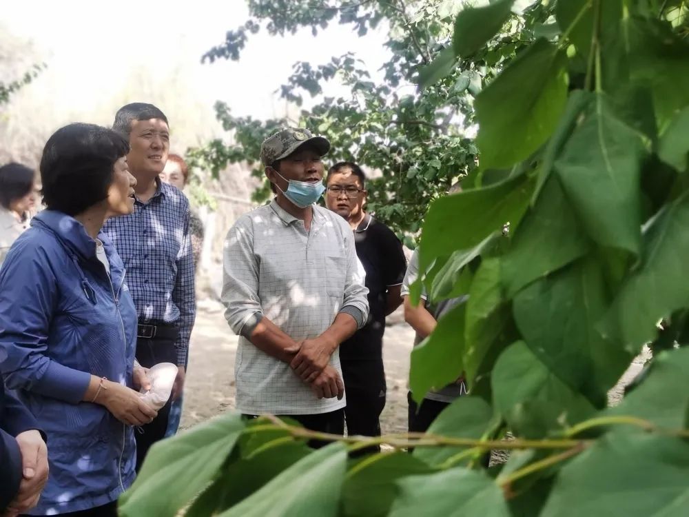 9dd2c12f845e48a9a7b1692ff20b659b.png 9dd2c12f845e48a9a7b1692ff20b659b.png