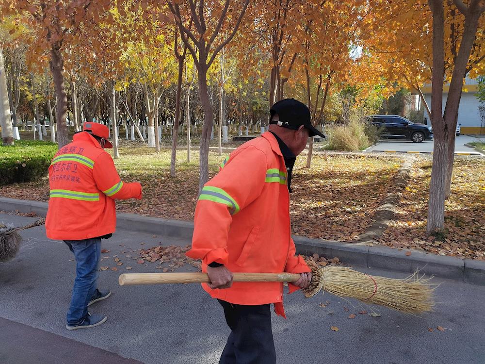 加大落葉清掃力度 打好秋季落葉清掃“攻堅戰”