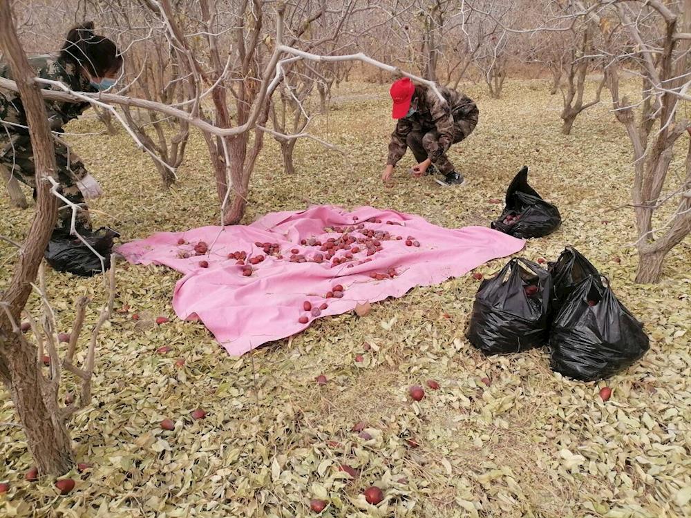 3973a74a6ac64e6ea0bdf58b877e83a0.jpg 3973a74a6ac64e6ea0bdf58b877e83a0.jpg