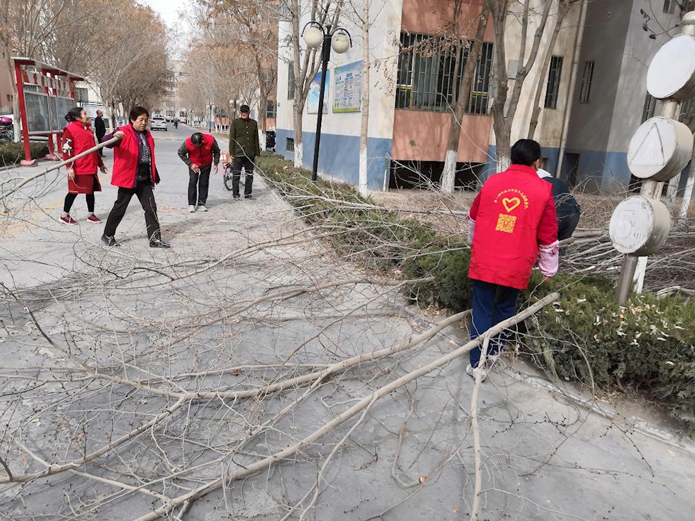 新時代文明實踐 | 創(chuàng)城 讓社區(qū)更美麗 城市更美好 