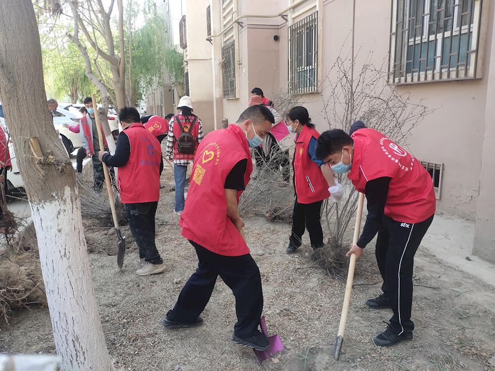 新時代文明實踐 | 植樹添色彩 綠化助創城 