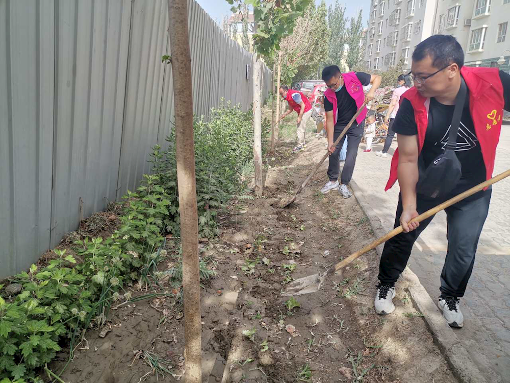 新時代文明實踐 | 毀綠種菜要不得 美麗家園靠你我 