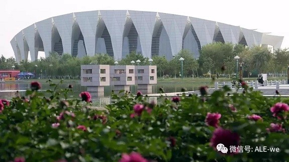 這個(gè)地方太火爆，運(yùn)動達(dá)人紛紛前來打卡…