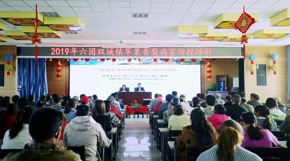 六團雙城鎮開展蘋果香梨病害秋季防控培訓
