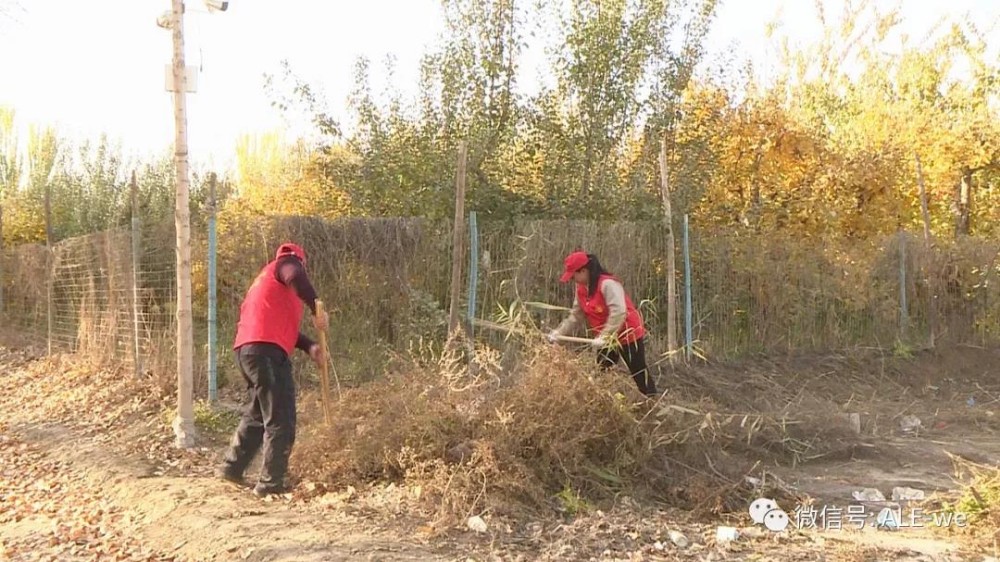 創城動態丨創城“會戰”， 人人都是志愿者~