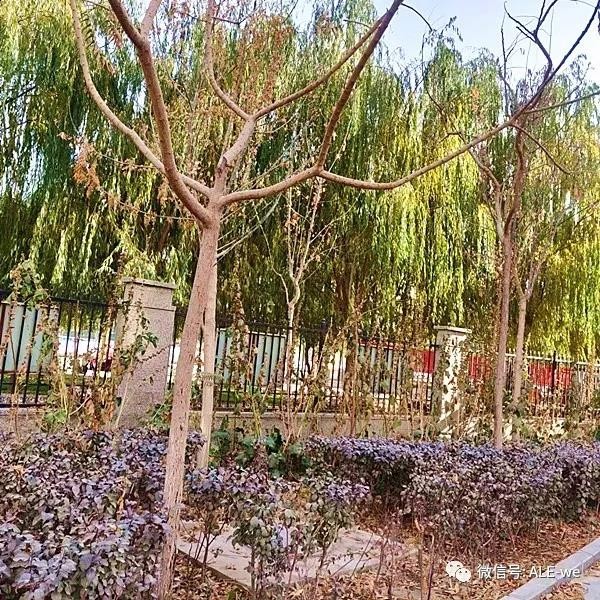 創城｜九團在行動