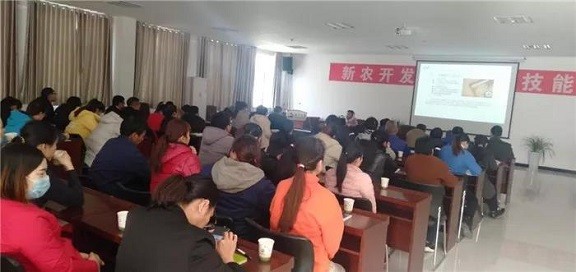 新農開發開展憲法培訓