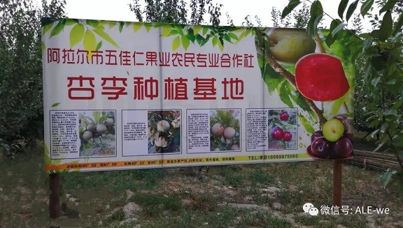 新春走基層丨特色種植鼓起職工“錢袋子”