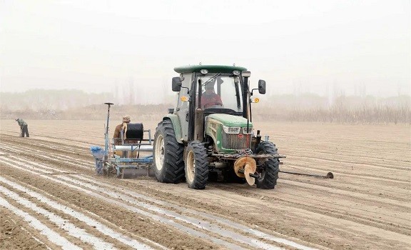 多元種植有保障 助農走上致富路
