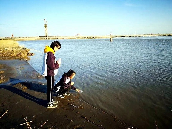 塔里木高級中學又雙叒叕獲獎啦