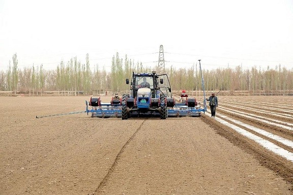 春耕春播忙，“兩委”服務職工“零距離”