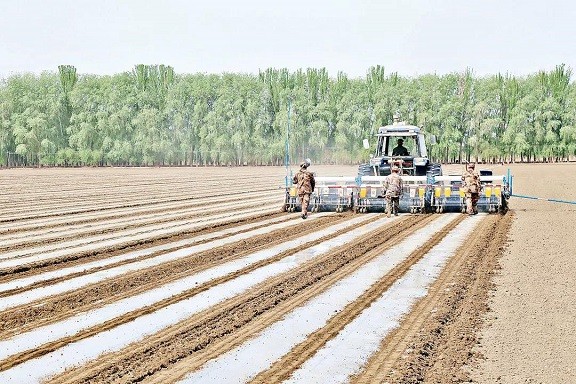 不負好春光 爭分奪秒農(nóng)時忙