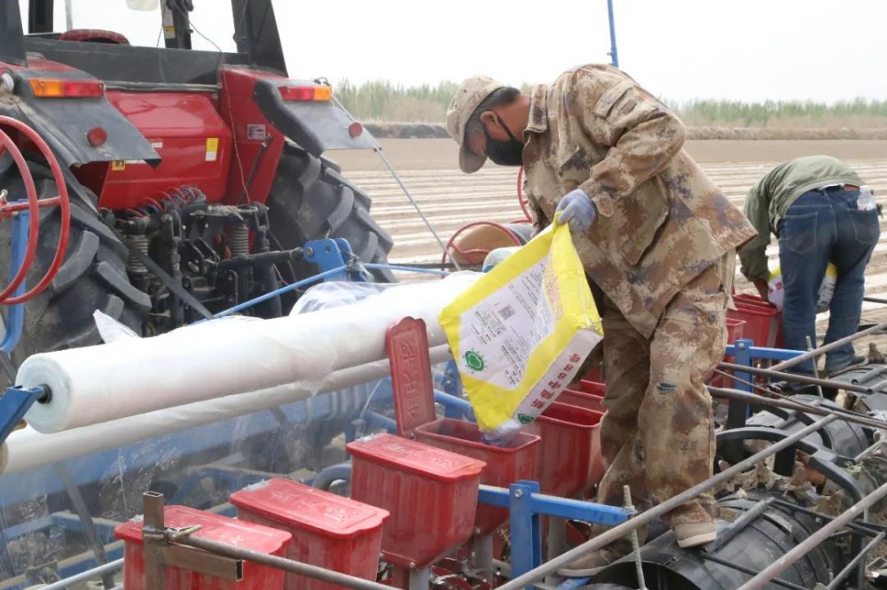 【攜手謀發展 市場更廣闊】農機合作社引領小農戶“抱團”創造高效益