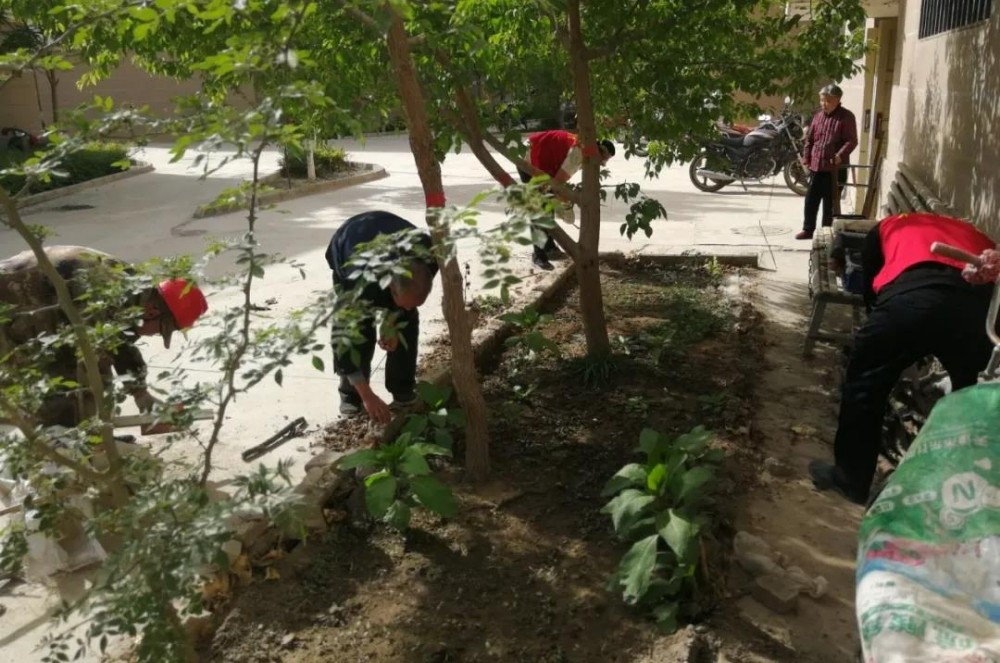 七團積極開展第32個愛國衛生月活動