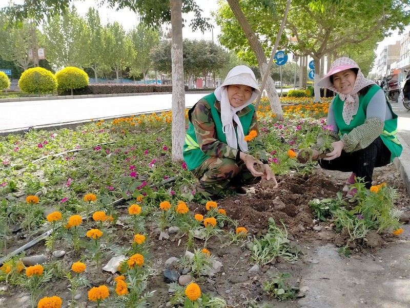 這個“五一”鮮花與勞動者相伴