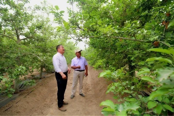 六團雙城鎮建設示范園——開辟致富新路