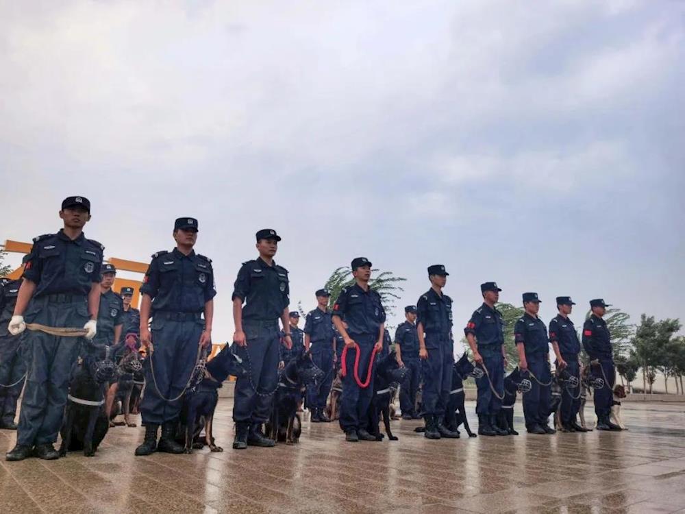 第一師阿拉爾市公安局警犬大隊(duì) 首次亮相胡楊河畔！颯！