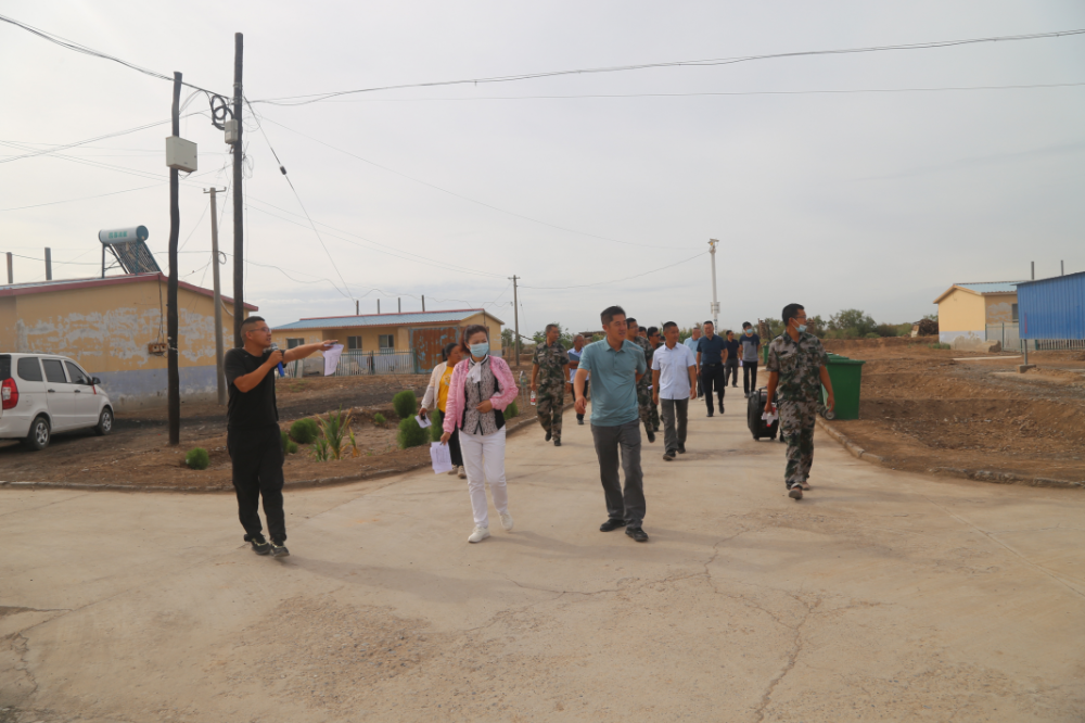 市、鎮人大代表視察六團雙城鎮環境衛生整治工作