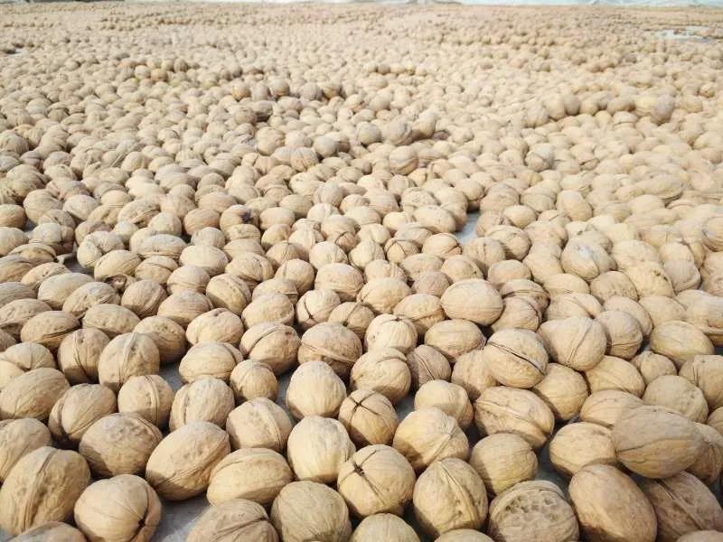 方仁周：一“桃”兩賣助增收