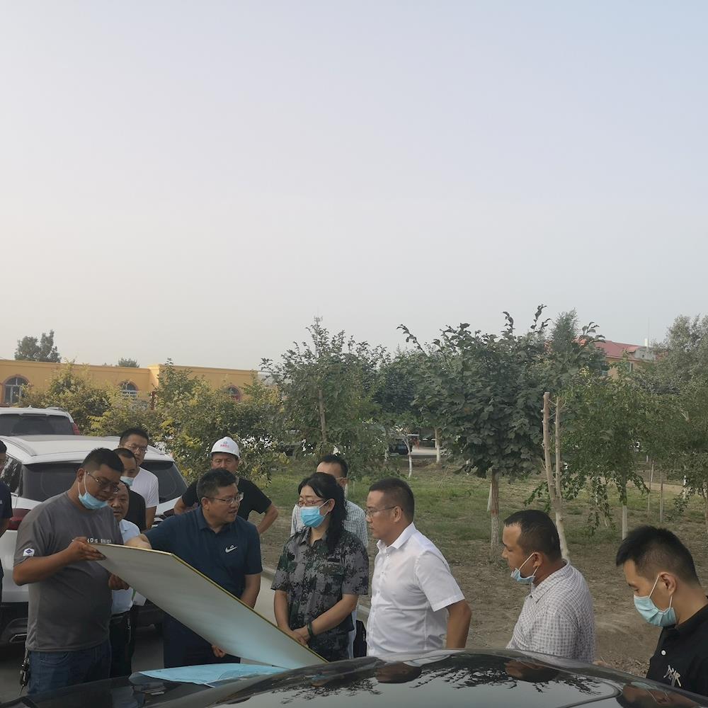 師市領導調研連隊人居環境整治工作